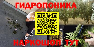 тгк Чебоксары
