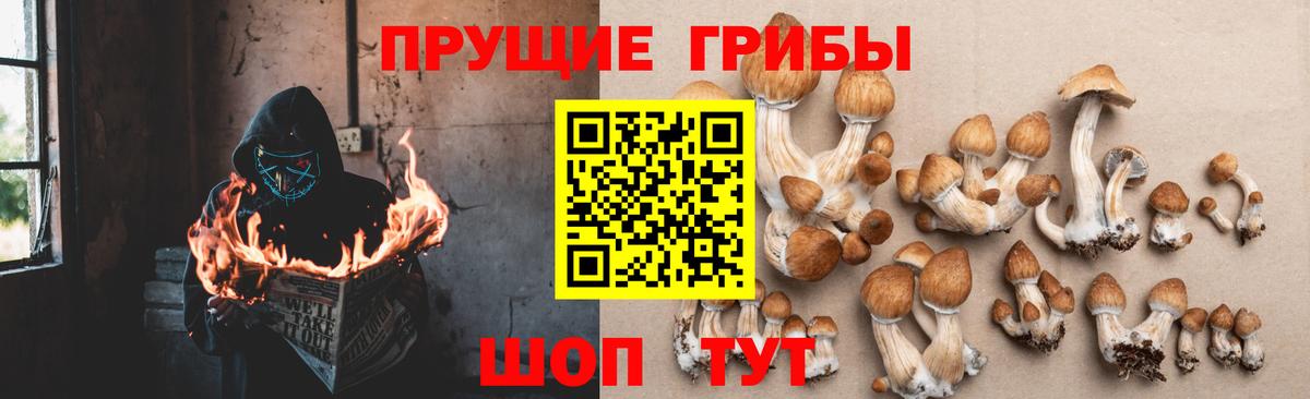 Псилоцибиновые грибы ЛСД Трёхгорный